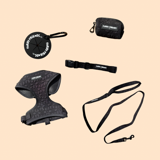 Daisy Delight Bundles