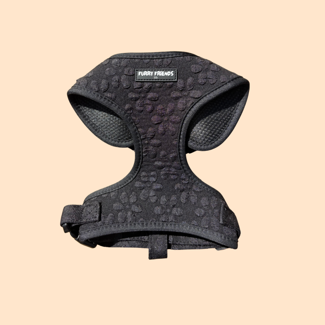 Daisy Delight : Adjustable Harness