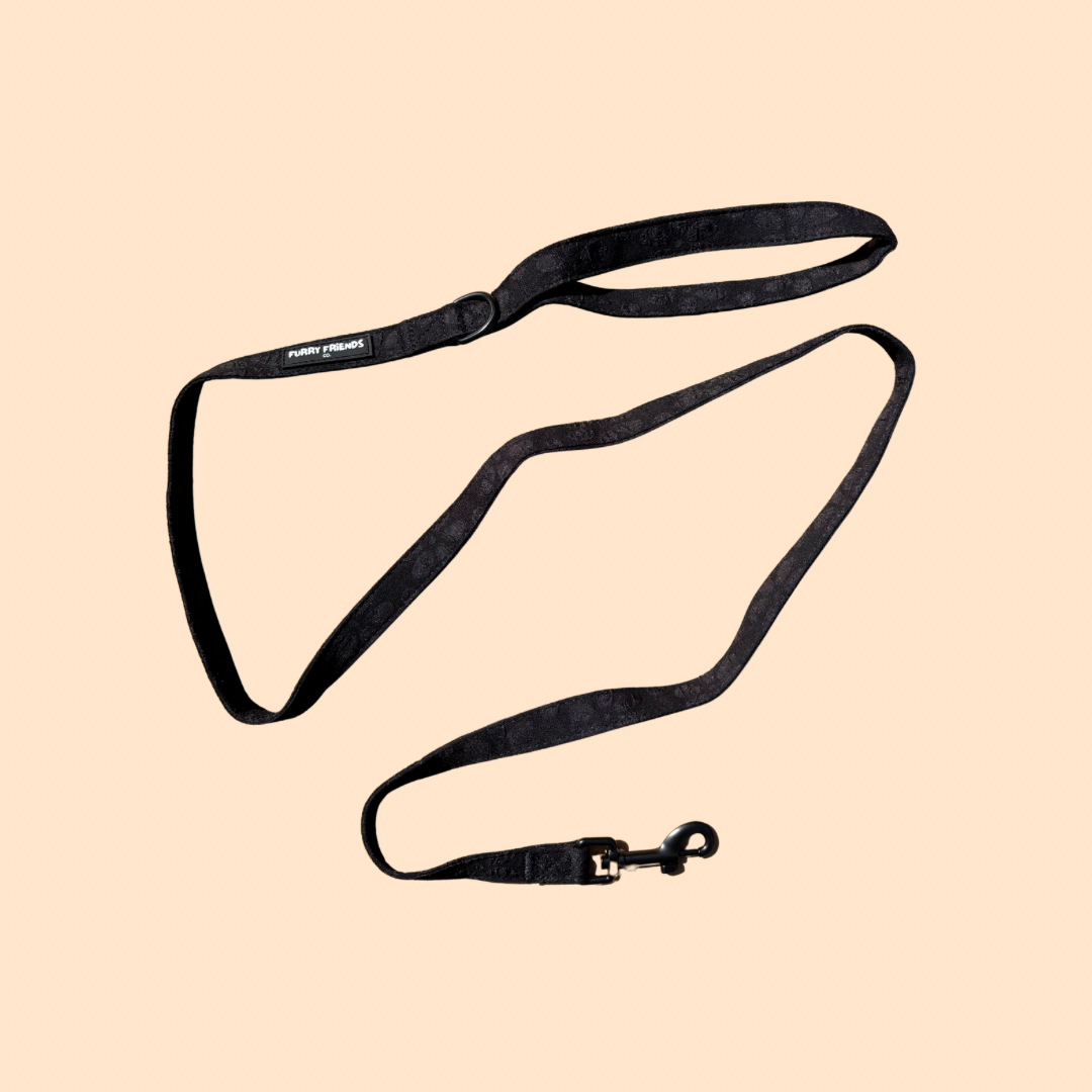 Daisy Delight: Leash