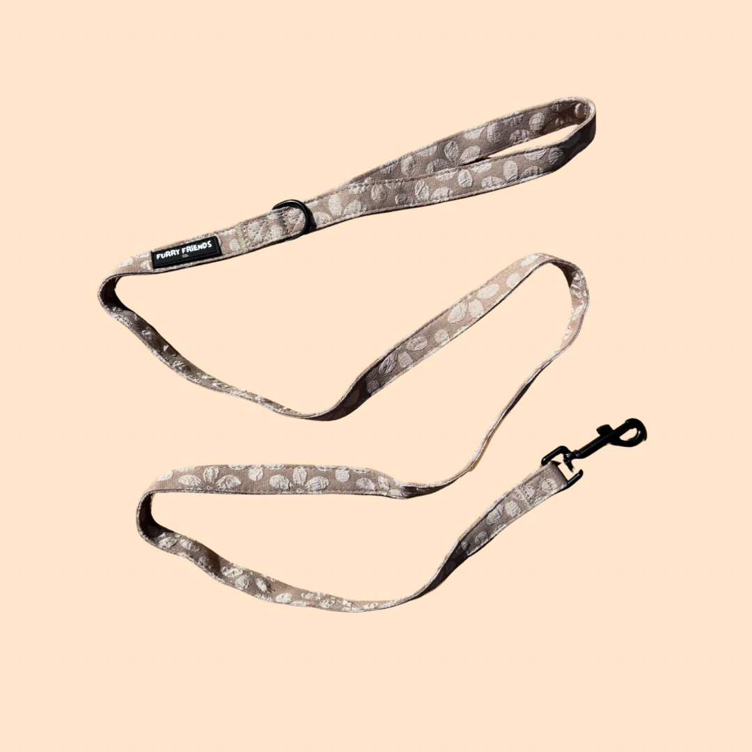 Daisy Delight: Leash