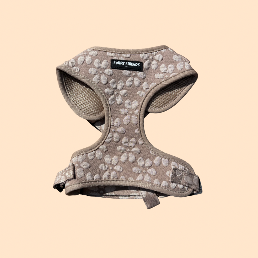 Daisy Delight : Adjustable Harness