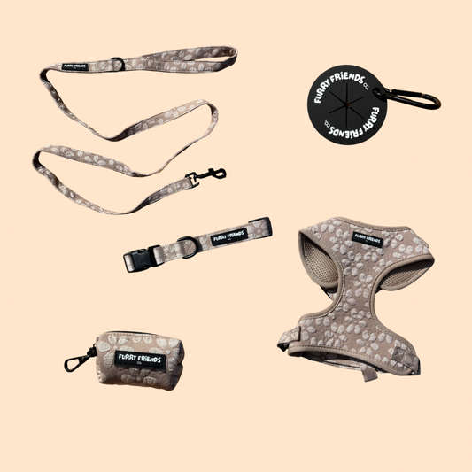 Daisy Delight Bundles